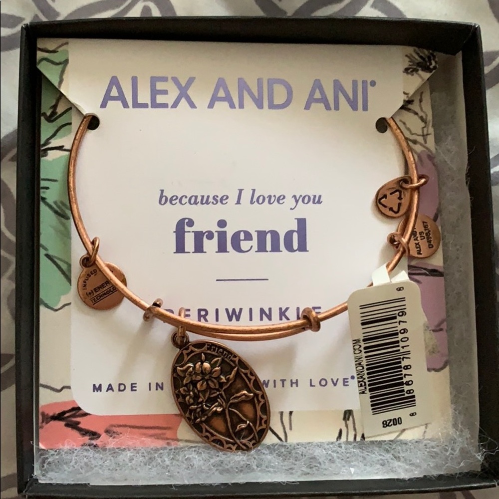 Alex and Ani Friend Bracelet With Box